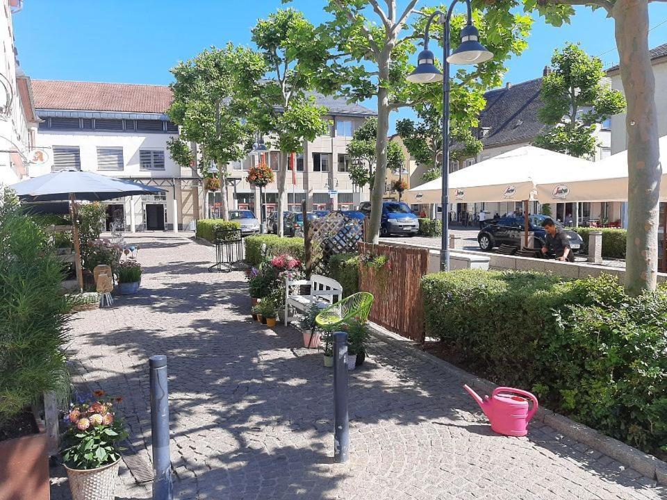 Gaestehaus "Am Marktplatz" 巴特索伯恩海姆 外观 照片